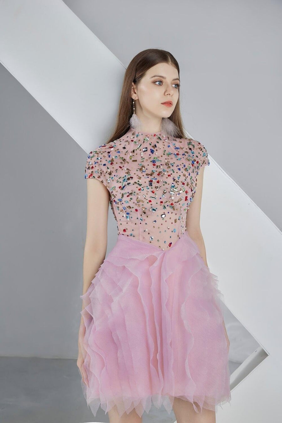 Jazmin A-line Short Sleeved Organza Mini Dress 3