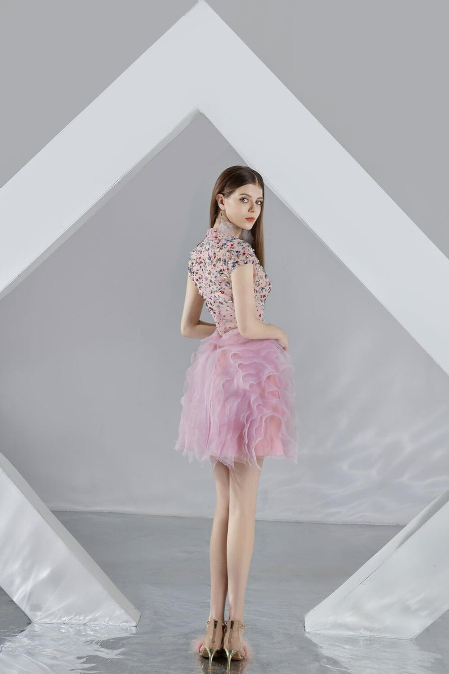 Jazmin A-line Short Sleeved Organza Mini Dress 5