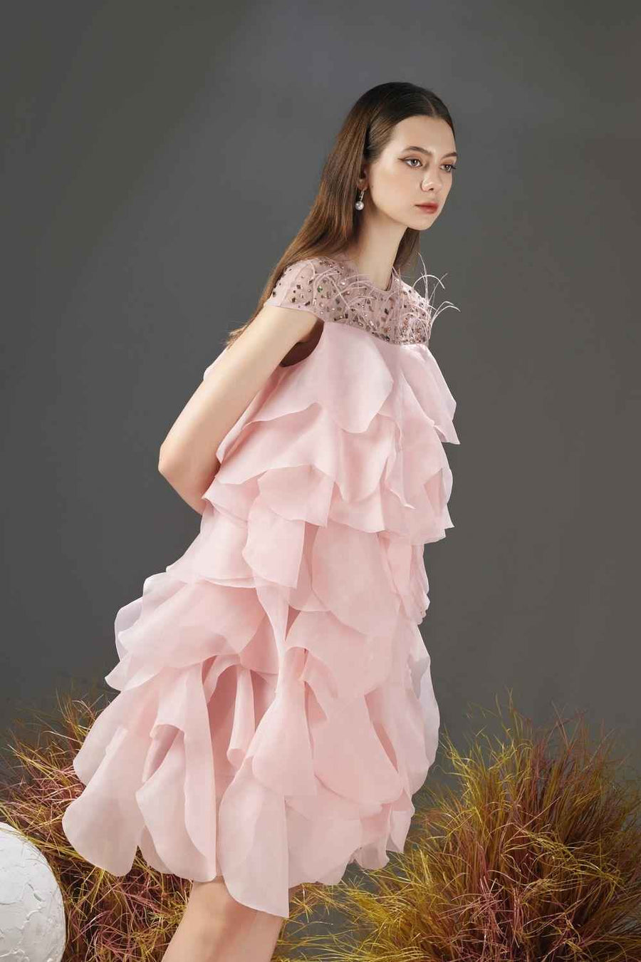 Jenny Layered Round Neck Organza Knee-length Dress