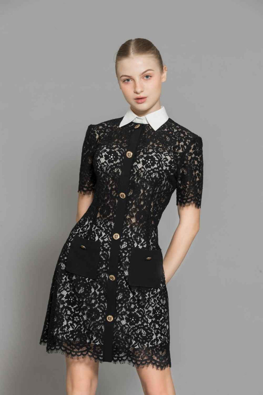 Joelle A-line Contrasting Collar Lace Above The Knee Dress