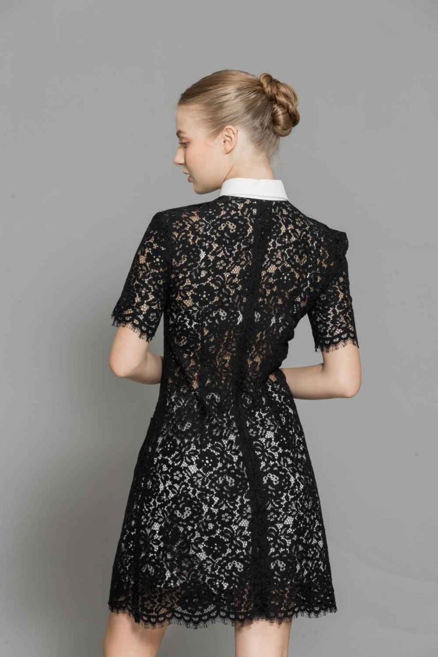 Joelle A-line Contrasting Collar Lace Above The Knee Dress
