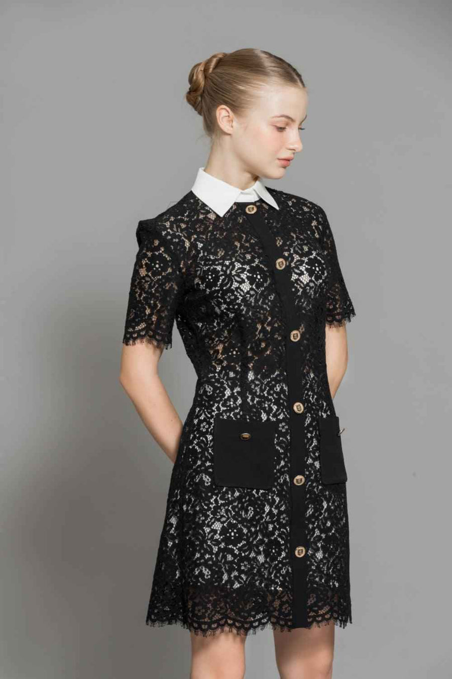 Joelle A-line Contrasting Collar Lace Above The Knee Dress