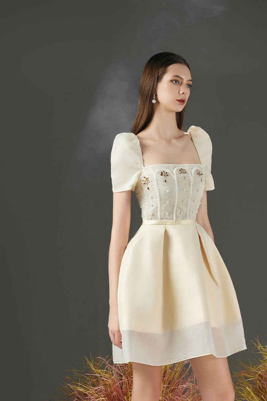 Jovita A-line Puffy Sleeved Organza Mini Dress 3