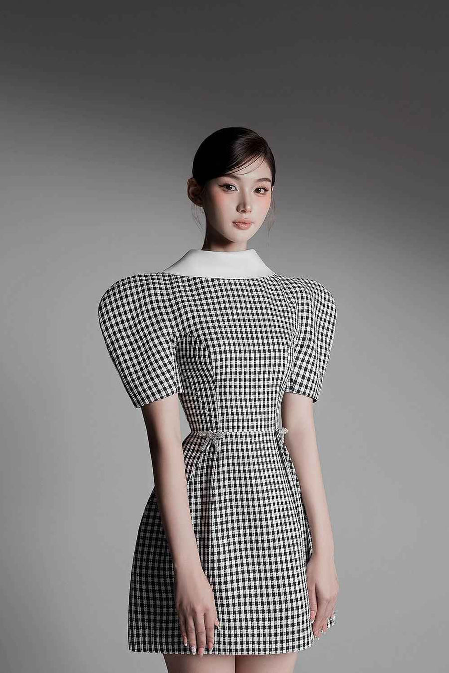 Joy Fit and Flare Puffy Sleeved Jacquard Mini Dress