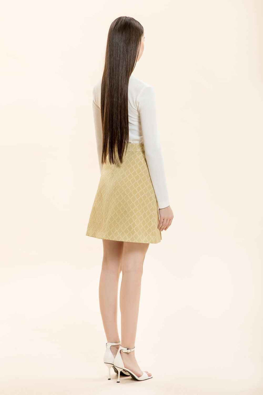 Louise A-line Back Zipper Brocade Mini Skirt