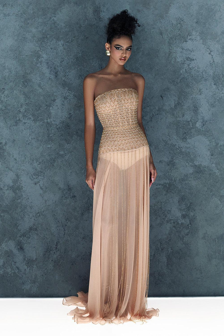 Lunairea Strapless Stone Chiffon Floor Length Dress Gown Dress CEM