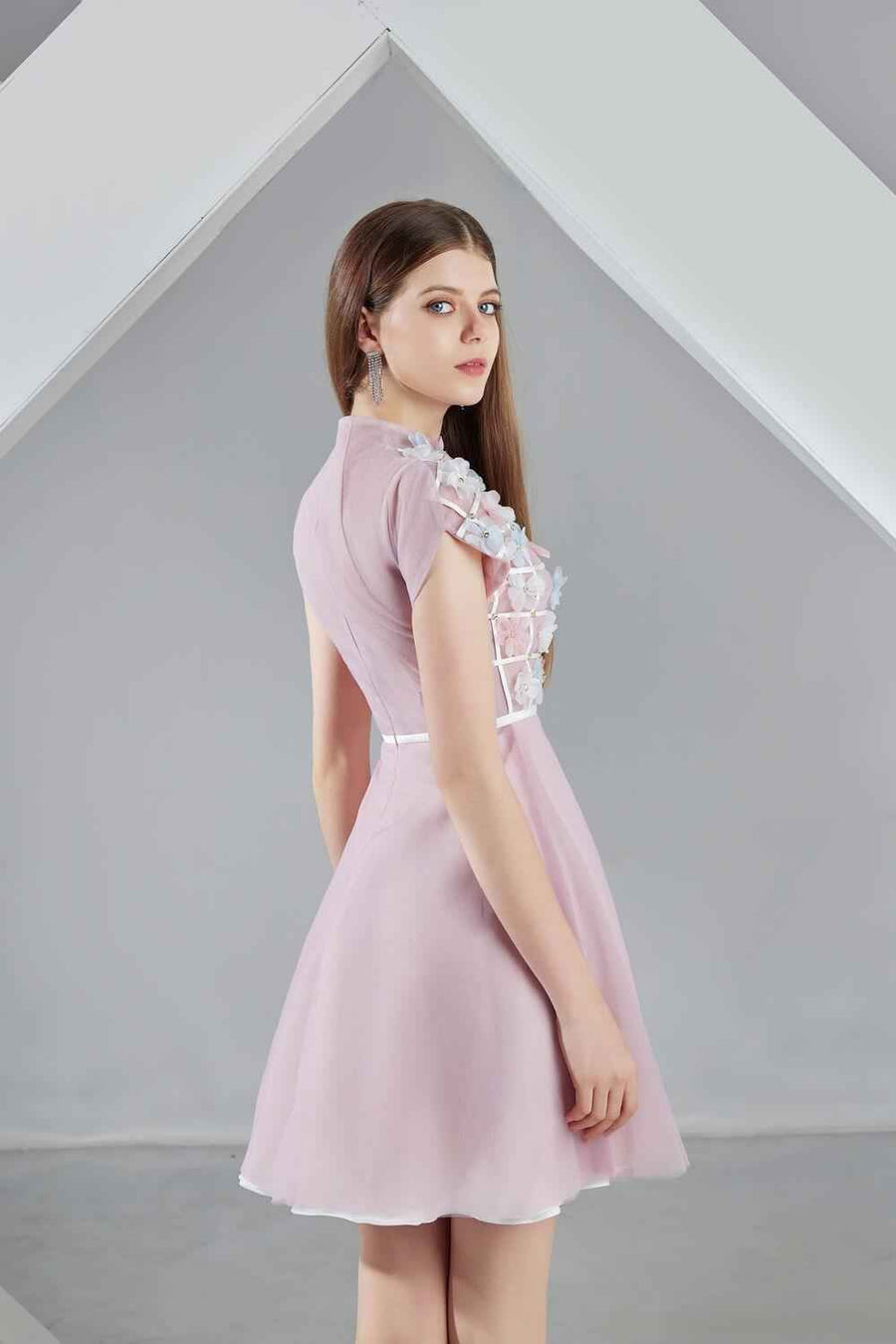 Macy A-line Short Sleeved Organza Mini Dress