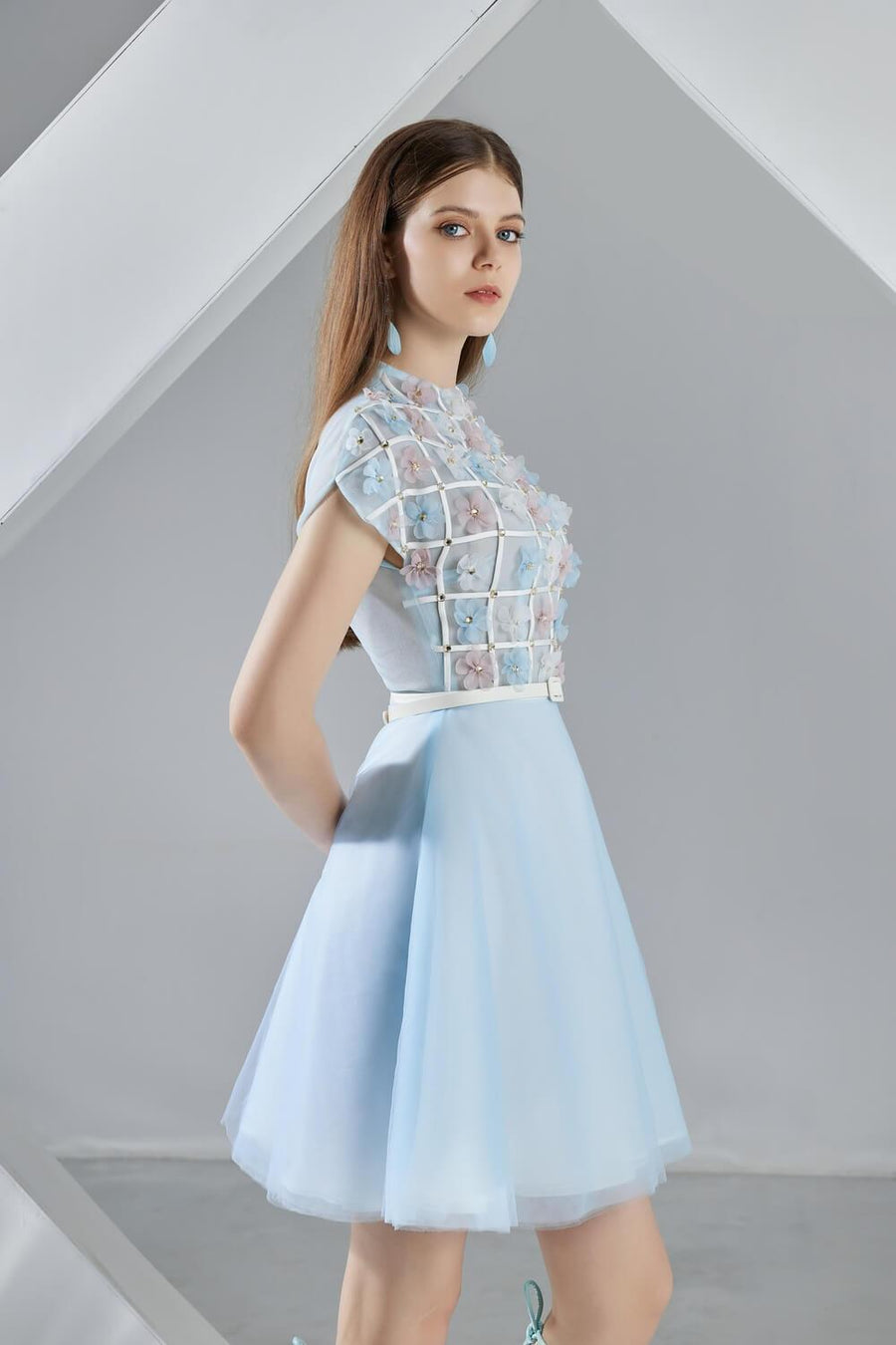 Macy A-line Short Sleeved Organza Mini Dress 9