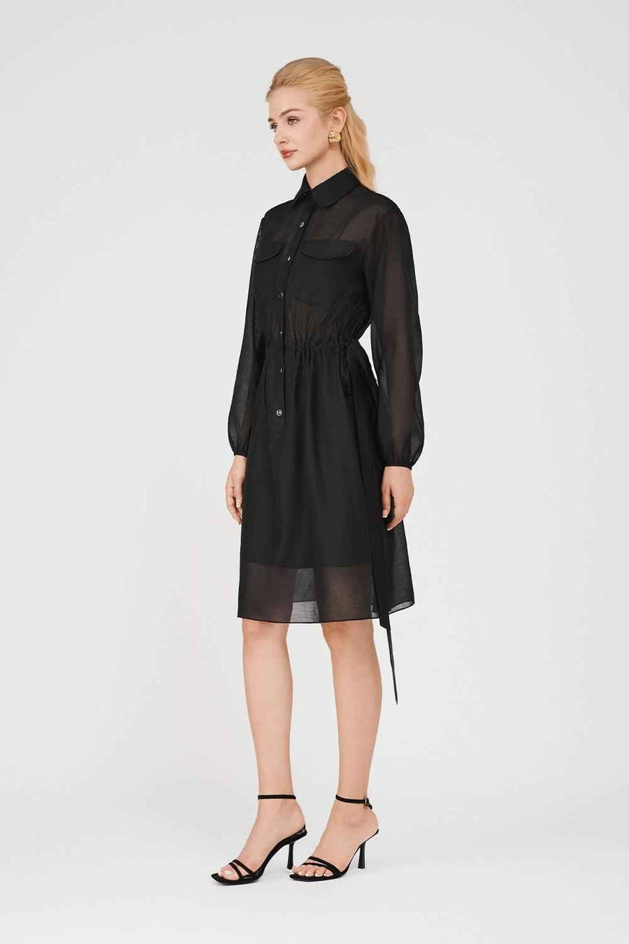 Maisie A-line See-Through Organza Midi Dress