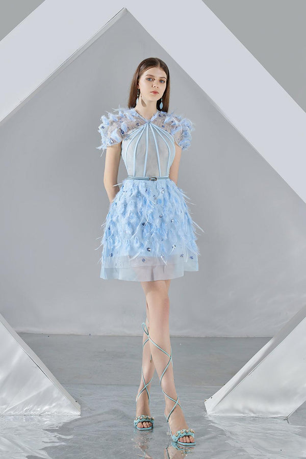 Marilyn A-line Short Sleeved Organza Mini Dress 1