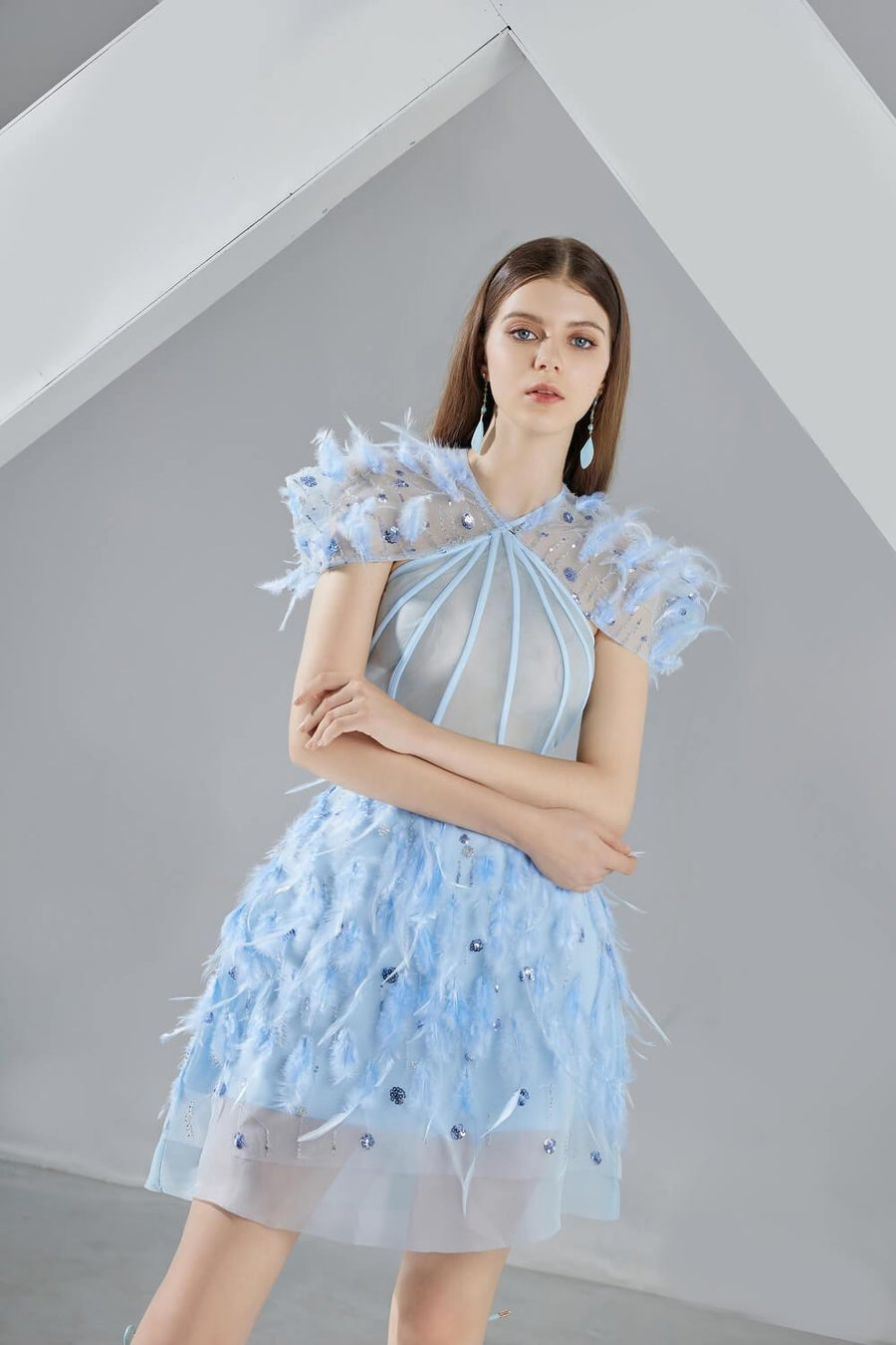 Marilyn A-line Short Sleeved Organza Mini Dress 2
