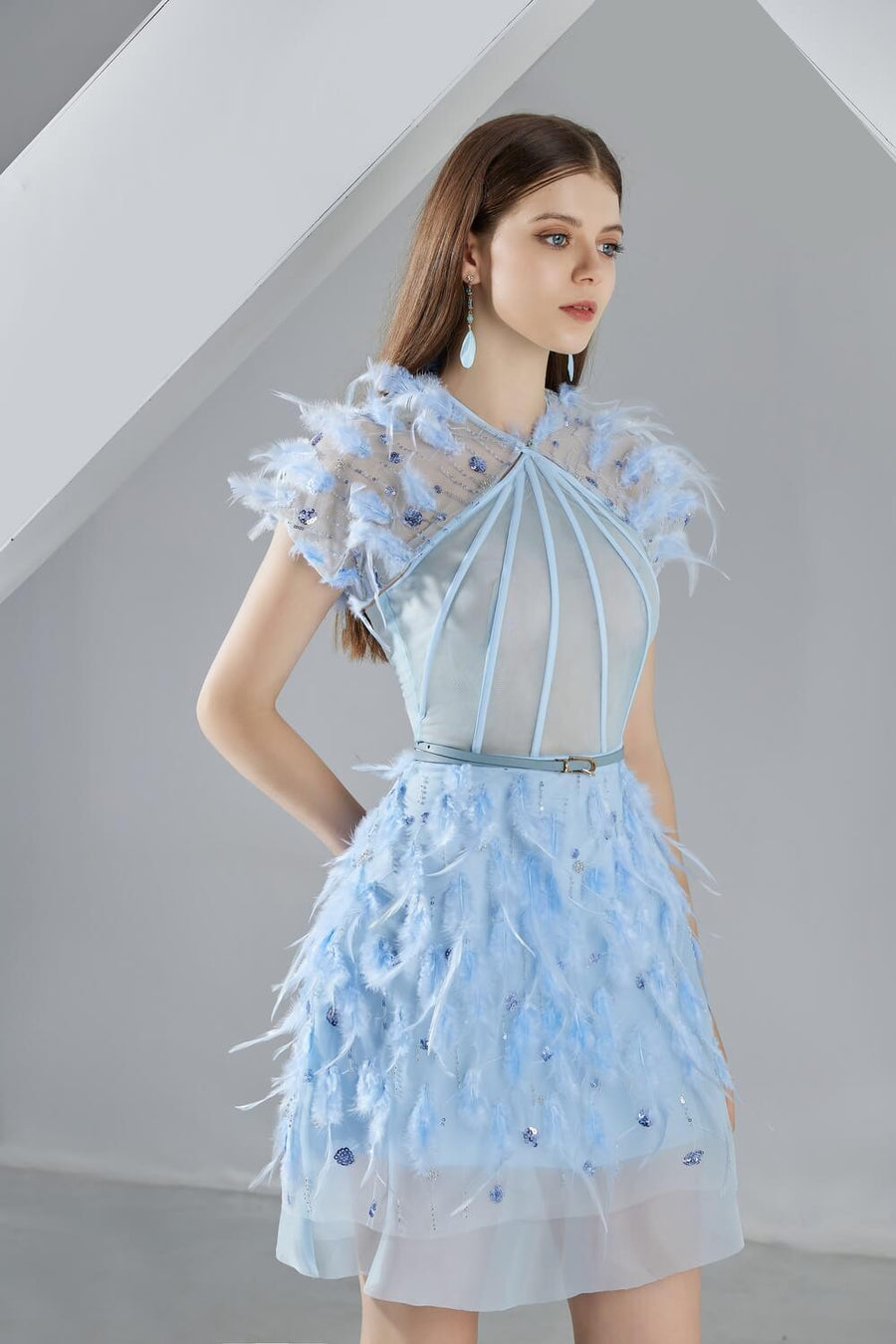 Marilyn A-line Short Sleeved Organza Mini Dress 3