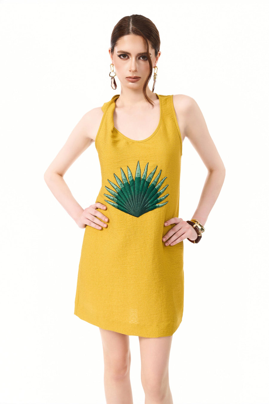 Aven Embroidery Mini Dress 3