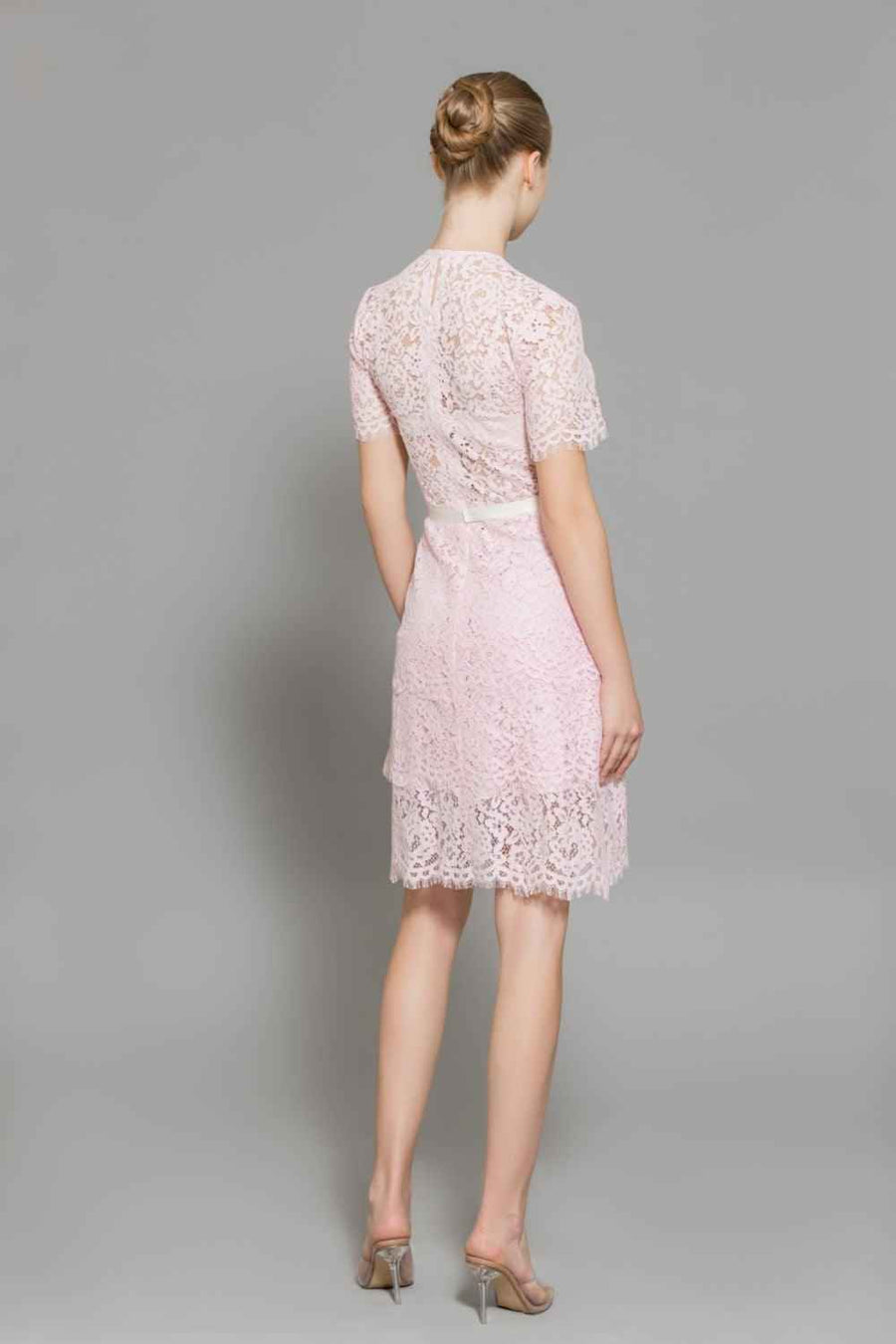 Paulina A-line Round Neck Lace Above The Knee Dress