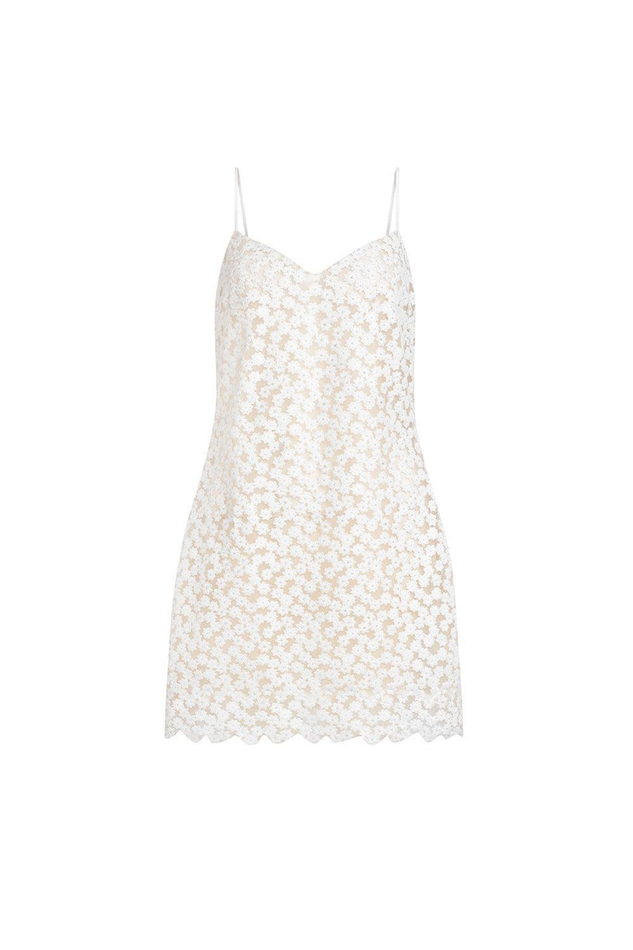 Porter Trapezoid Spaghetti Strap Lace Mini Dress Mini Dress LASSY