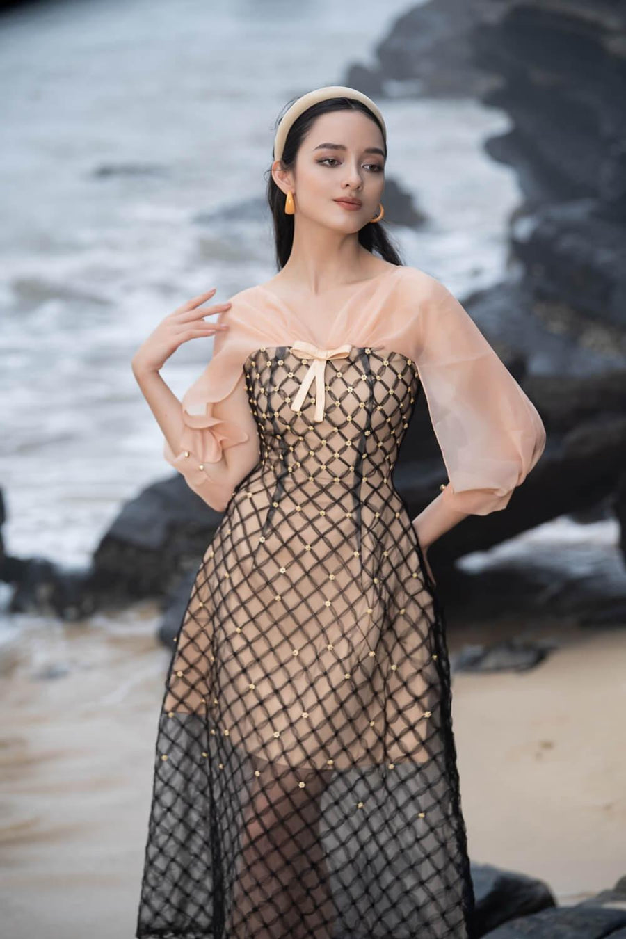 Priya A-line See-Through Mesh Sheer Midi Dress 11