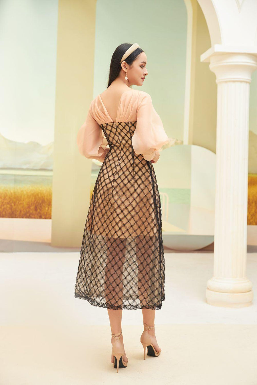 Priya A-line See-Through Mesh Sheer Midi Dress 16