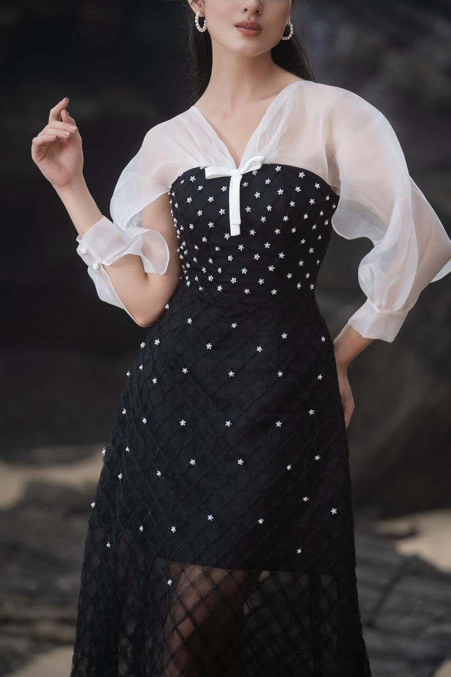 Priya A-line See-Through Mesh Sheer Midi Dress 2