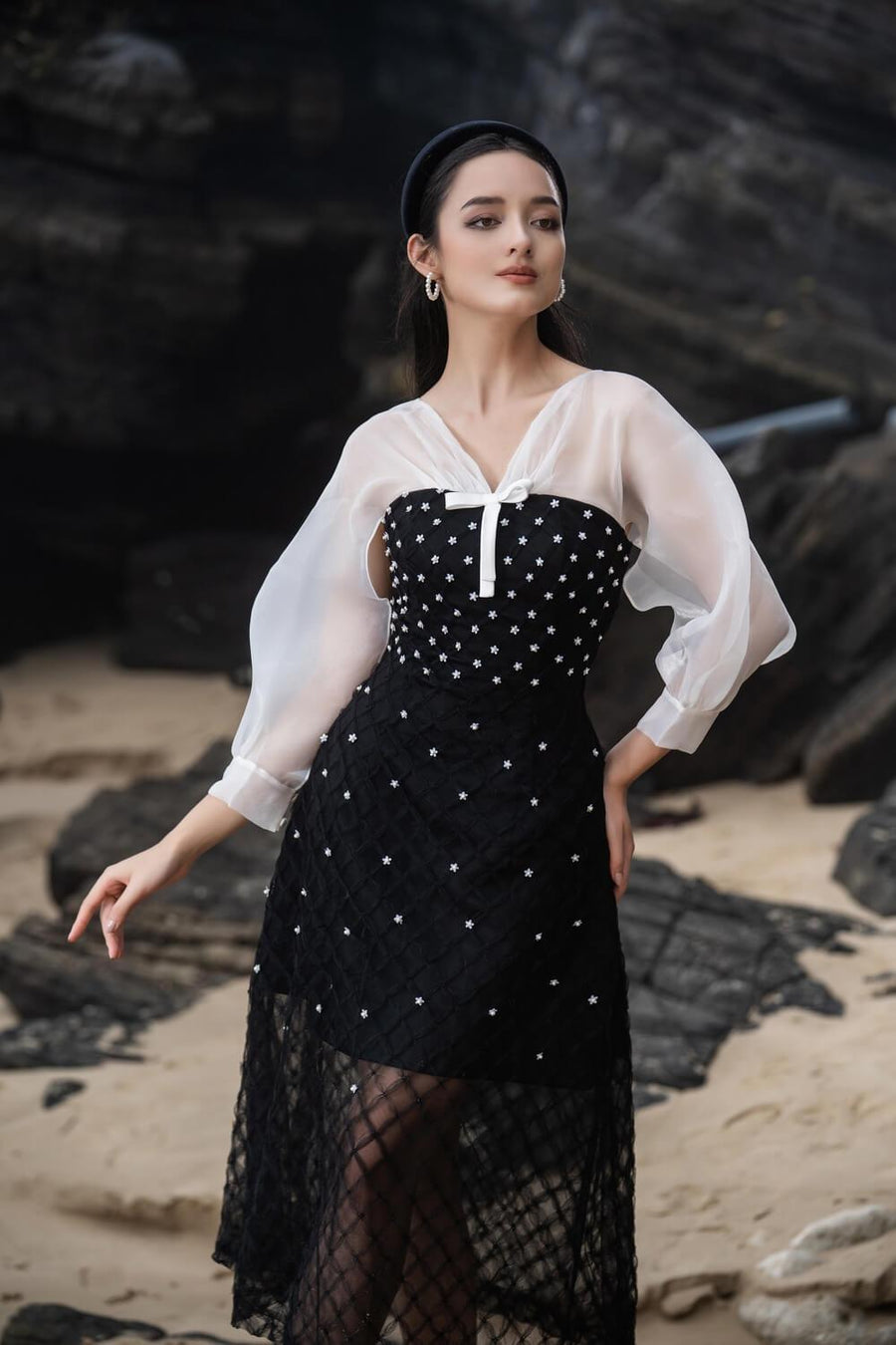 Priya A-line See-Through Mesh Sheer Midi Dress 4