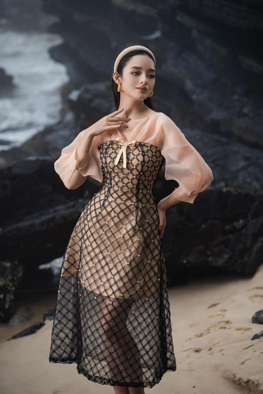 Priya A-line See-Through Mesh Sheer Midi Dress 9