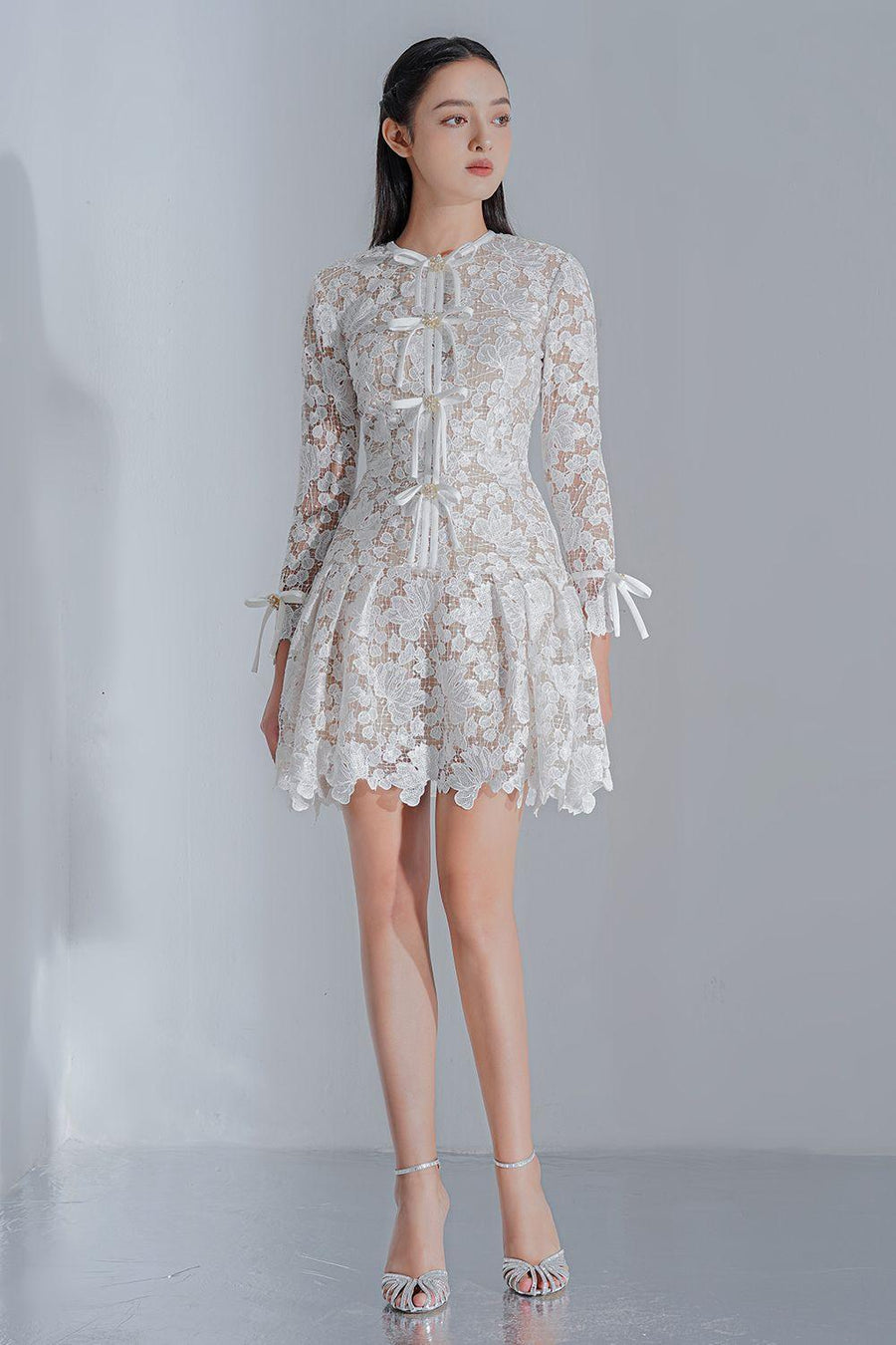 Quinnley Drop Waist Round Neck Lace Mini Dress Mini Dress LAMORIS