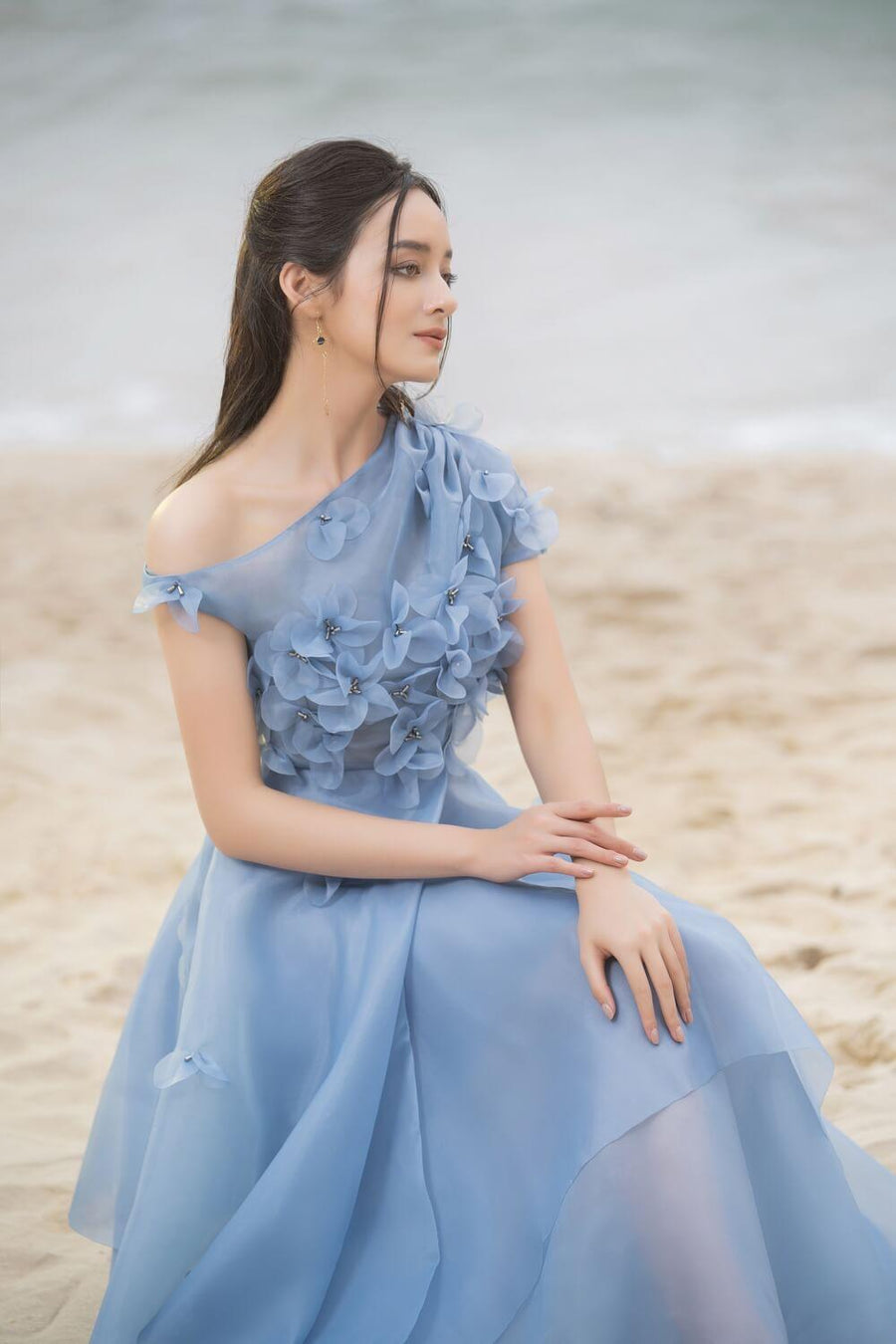 Rosalie Layered Asymmetric Shoulder Organza Maxi Dress 2