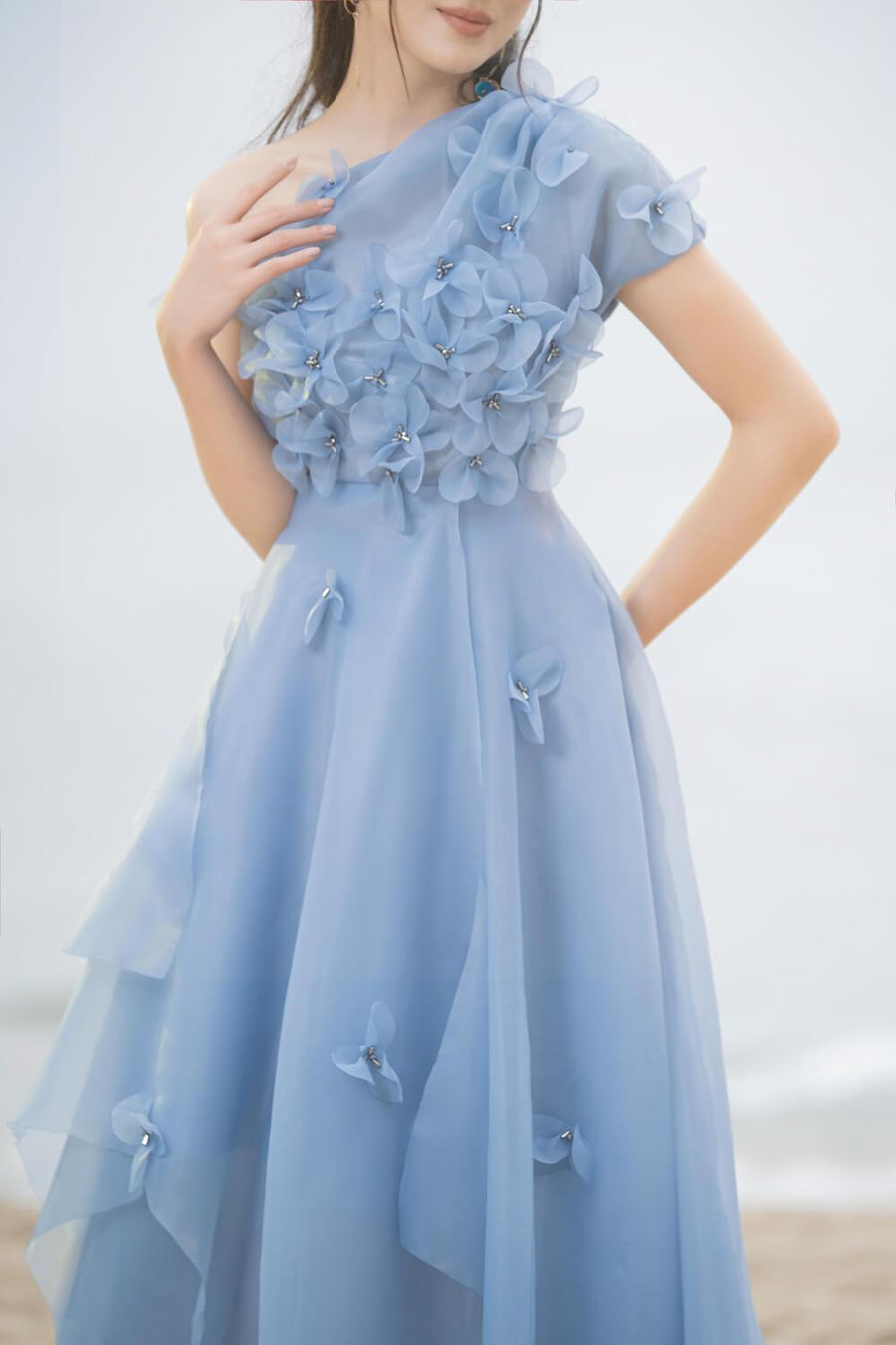Rosalie Layered Asymmetric Shoulder Organza Maxi Dress 3