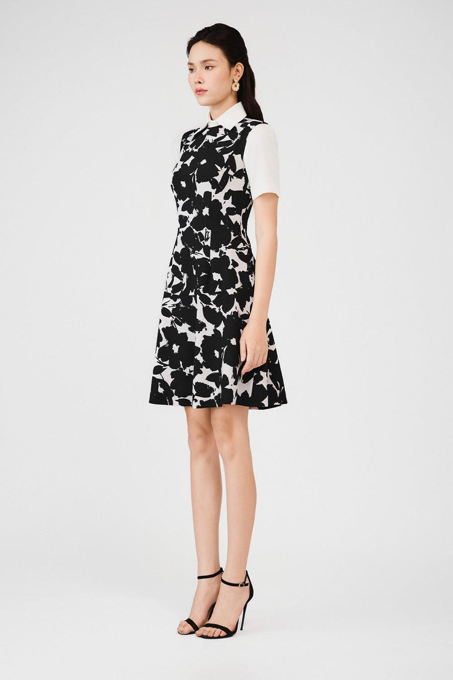 Rosemary Drop Waist Round Neck Poly Silk Mini Dress 5