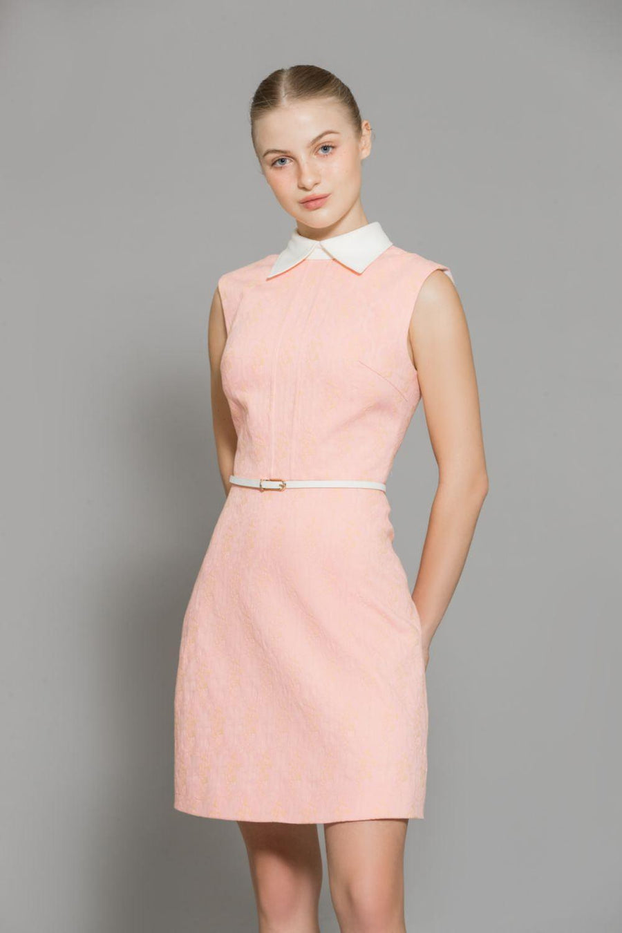 Soleil A-line Contrasting Collar Polycotton Mini Dress 2
