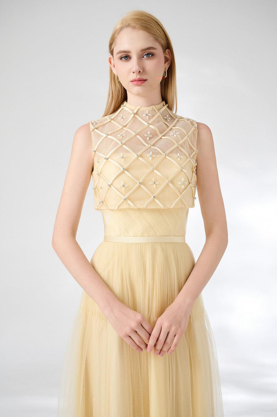 Spencer A-line High Neck Mesh Silk Midi Dress 2