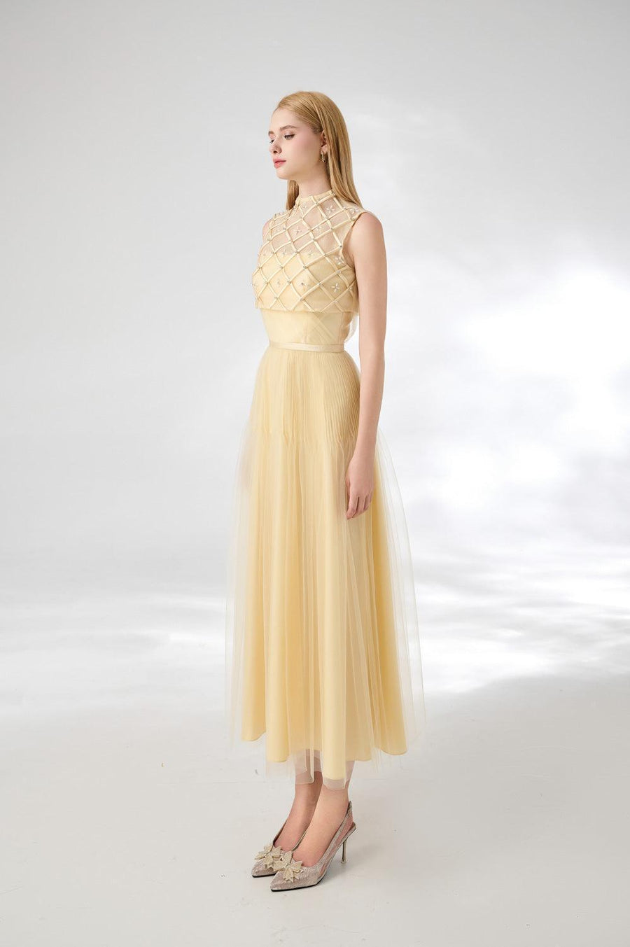 Spencer A-line High Neck Mesh Silk Midi Dress 4