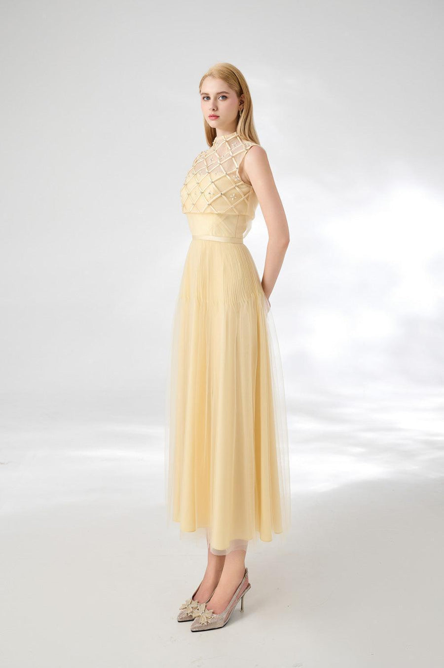 Spencer A-line High Neck Mesh Silk Midi Dress 5