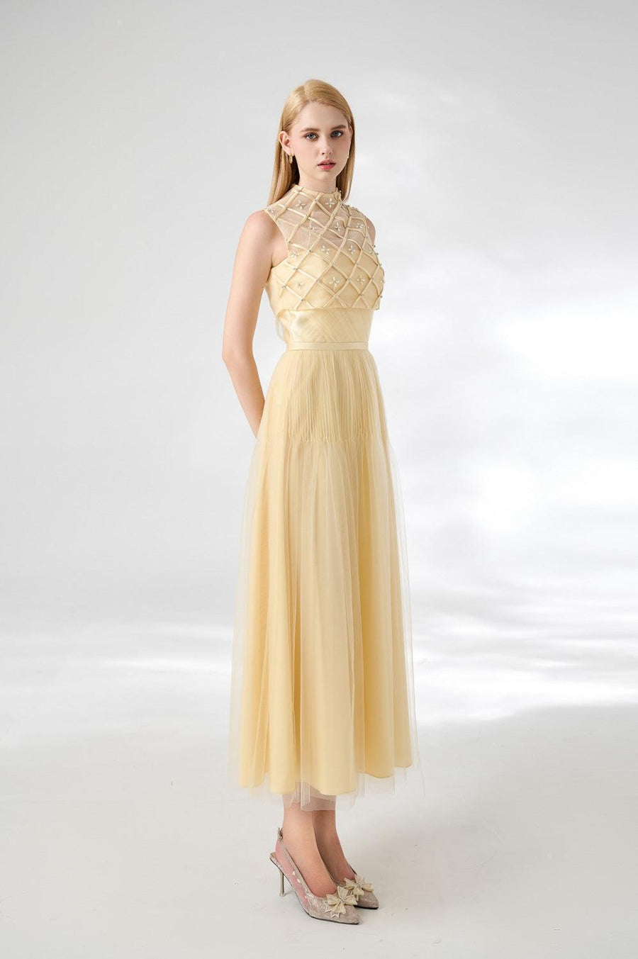 Spencer A-line High Neck Mesh Silk Midi Dress 6