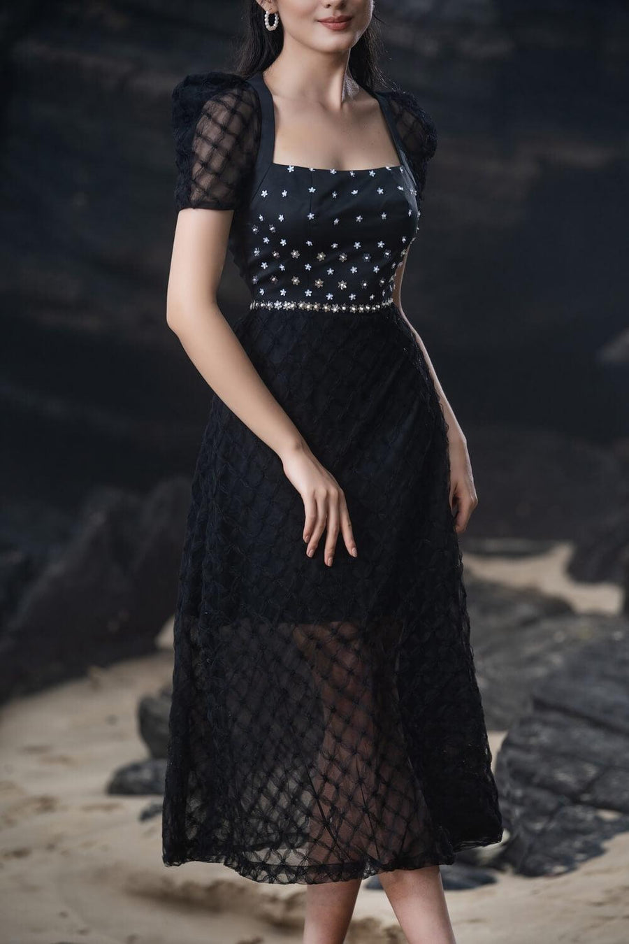 Stacy A-line See-Through Mesh Sheer Midi Dress 3