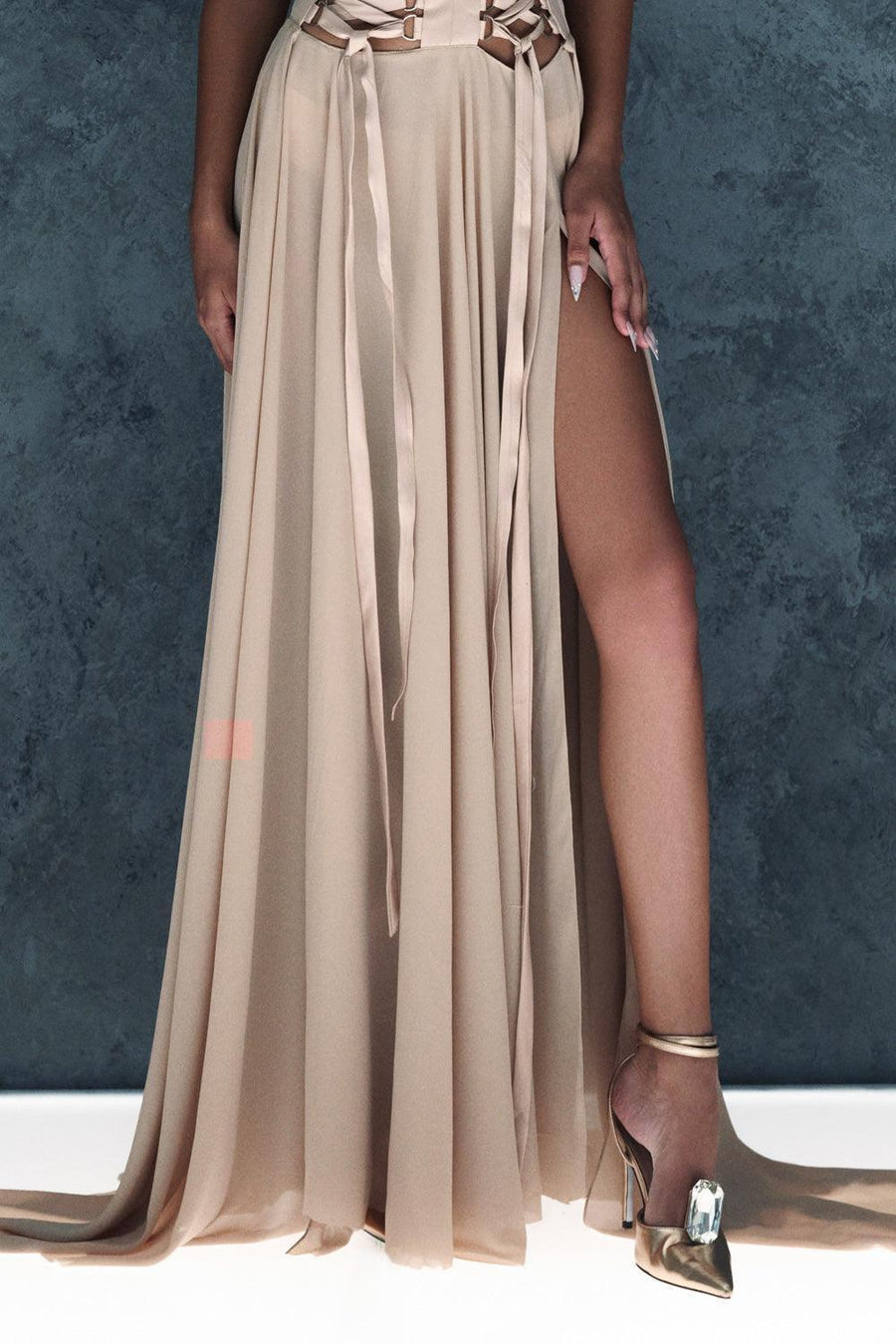 Stardust Slit Sleeveless Silk Chiffon Floor Length Dress Gown Dress CEM