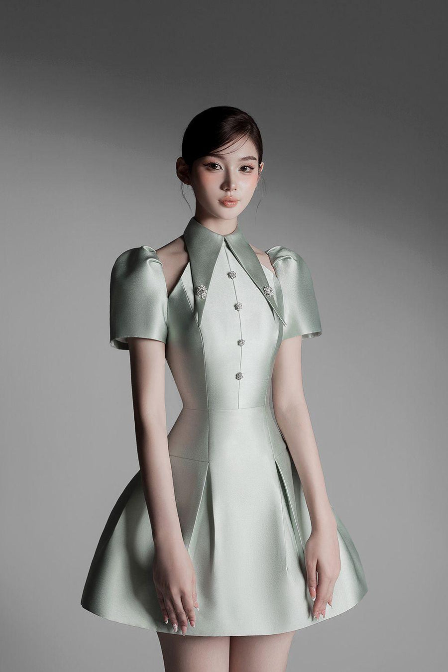 Thy Fit and Flare Puffy Sleeved Taffeta Mini Dress 6