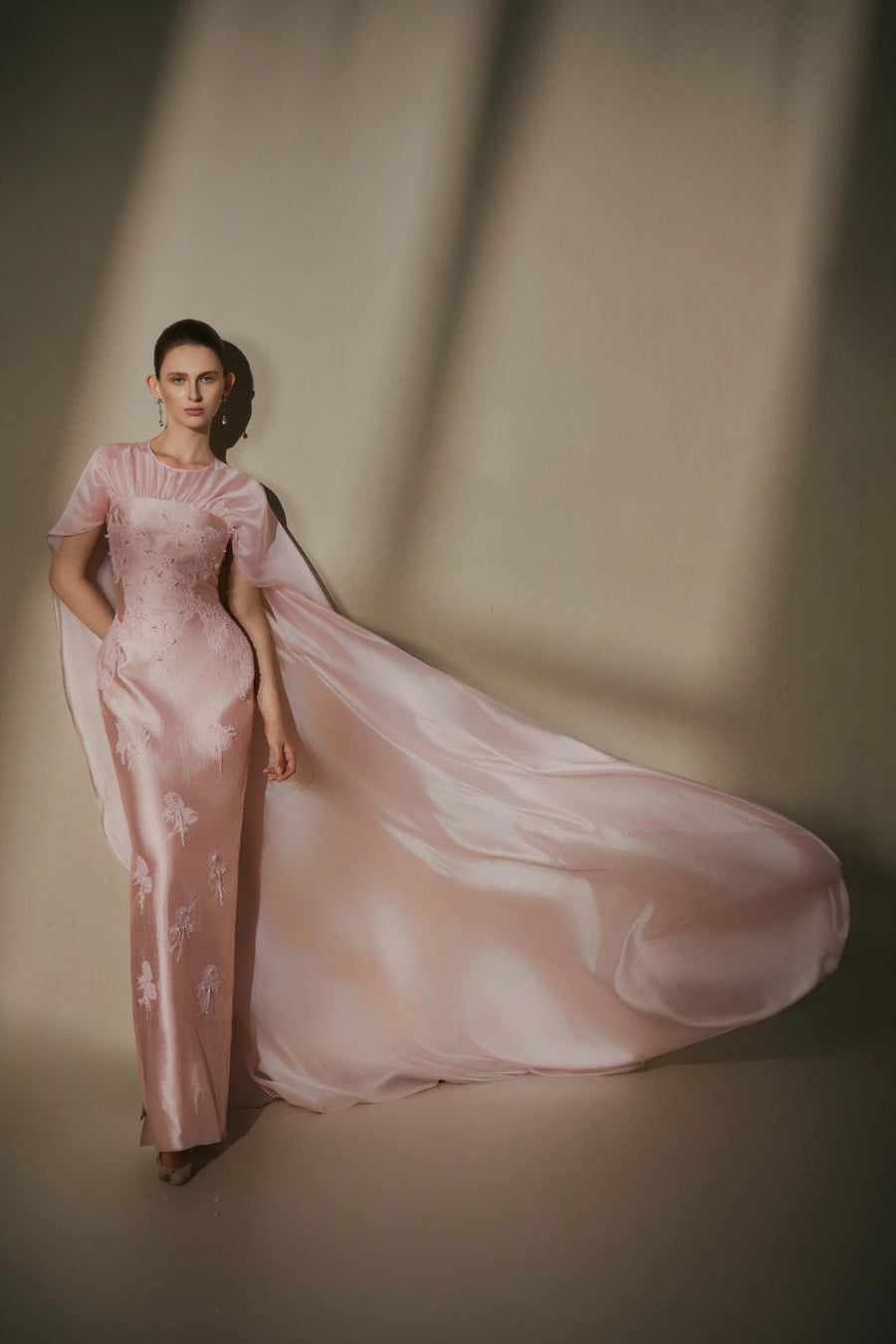 Veloura Cape Sleeve Maxi Dress 3