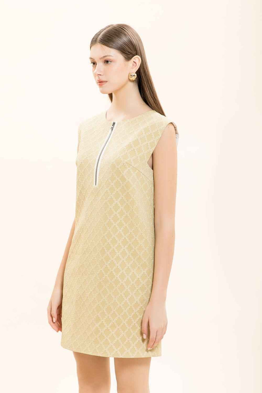 Winifred Straight Round Neck Brocade Mini Dress
